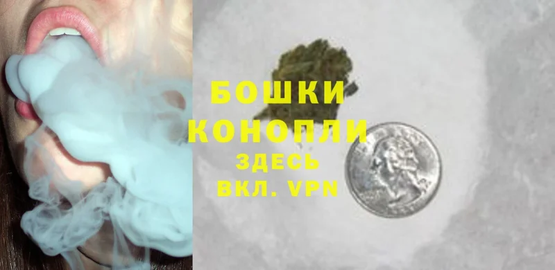 Бошки марихуана White Widow  как найти закладки  Рузаевка 